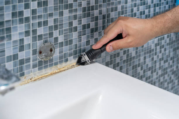 Best Mold Damage Repair  in Southside, AL